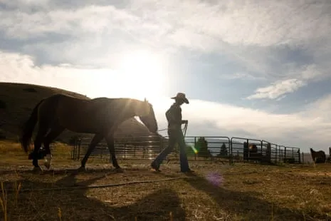 Get to Know the American Women Ranchers Transforming Modern Farm Life