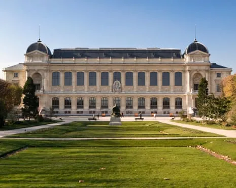Historic Gold Samples Stolen in Daring Robbery at France's Natural History Museum