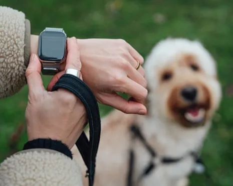 The Reality About Smartwatches? Life Is Better Lacking a Bossy Device on Your Wrist